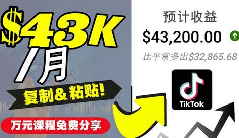 2022抖音国际版Tiktok赚钱项目：每天上传一个视频就轻松月入$43200