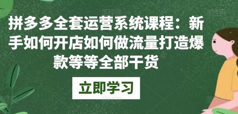 拼多多全套运营系统课程：新手如何开店如何做流量打造爆款等等全部干货