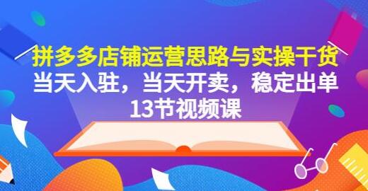 拼多多店铺运营思路与实操干货,当天入驻,当天开卖,稳定出单(13节课)-蜗牛学社