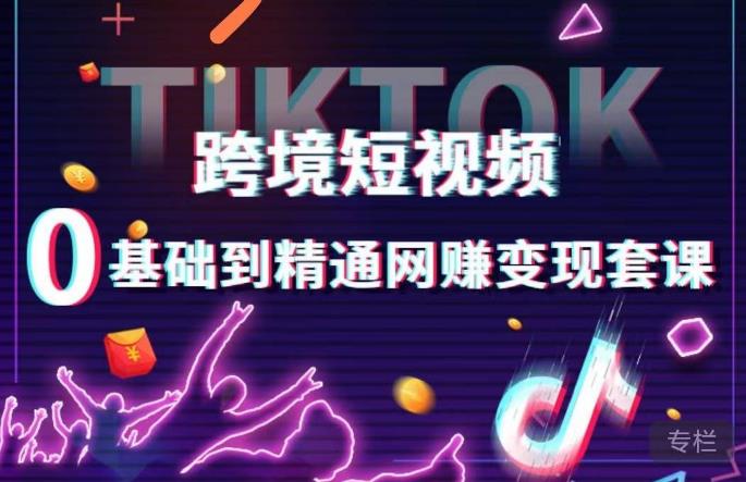 跨境短视频TIKTOK 0基础到精通网创变现套课，跨境短视频独立站带货变现技巧