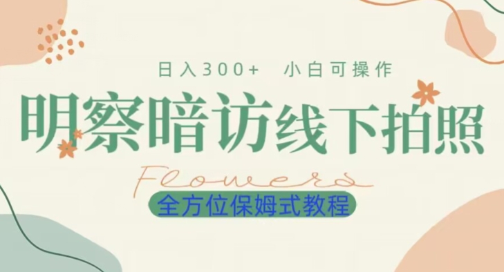 明拍暗拍项目0成本投入日入300+小白可操作保姆式全方位教程