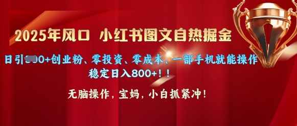 25年风口小红书图文掘金，日引300+创业粉、零投入、零成本、一部手机就能操作