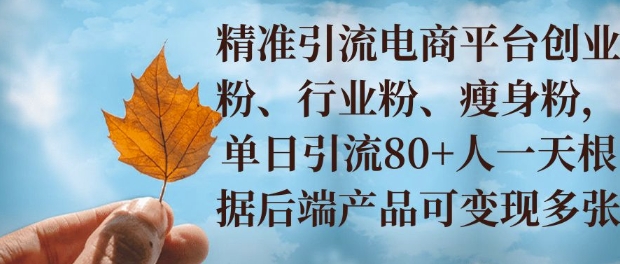 小投入撬动大收益，精准引流创业粉、行业粉，单日引流80+，一天可变现多张