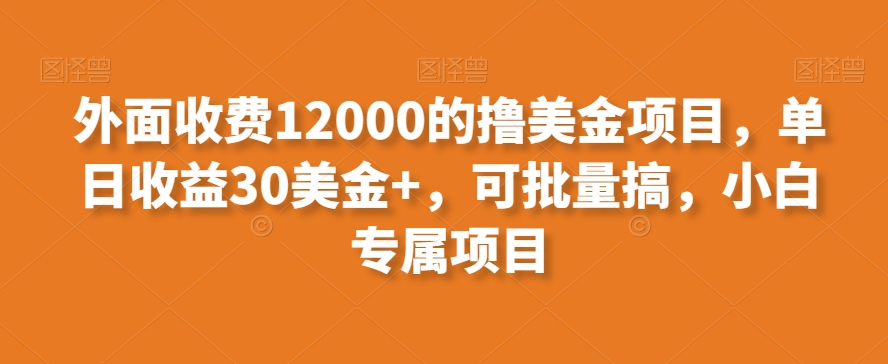 外面收费12000的撸美金项目,单日收益30美金+,可批量搞,小白专属项目-蜗牛学社