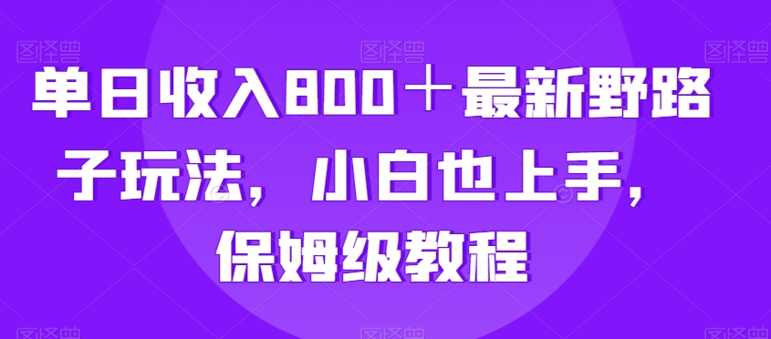 单日收入800+最新野路子玩法,小白也上手,保姆级教程-蜗牛学社