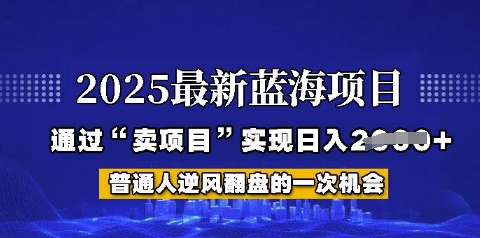 2025年首次揭秘如何通过“网创项目”日入多张【揭秘】