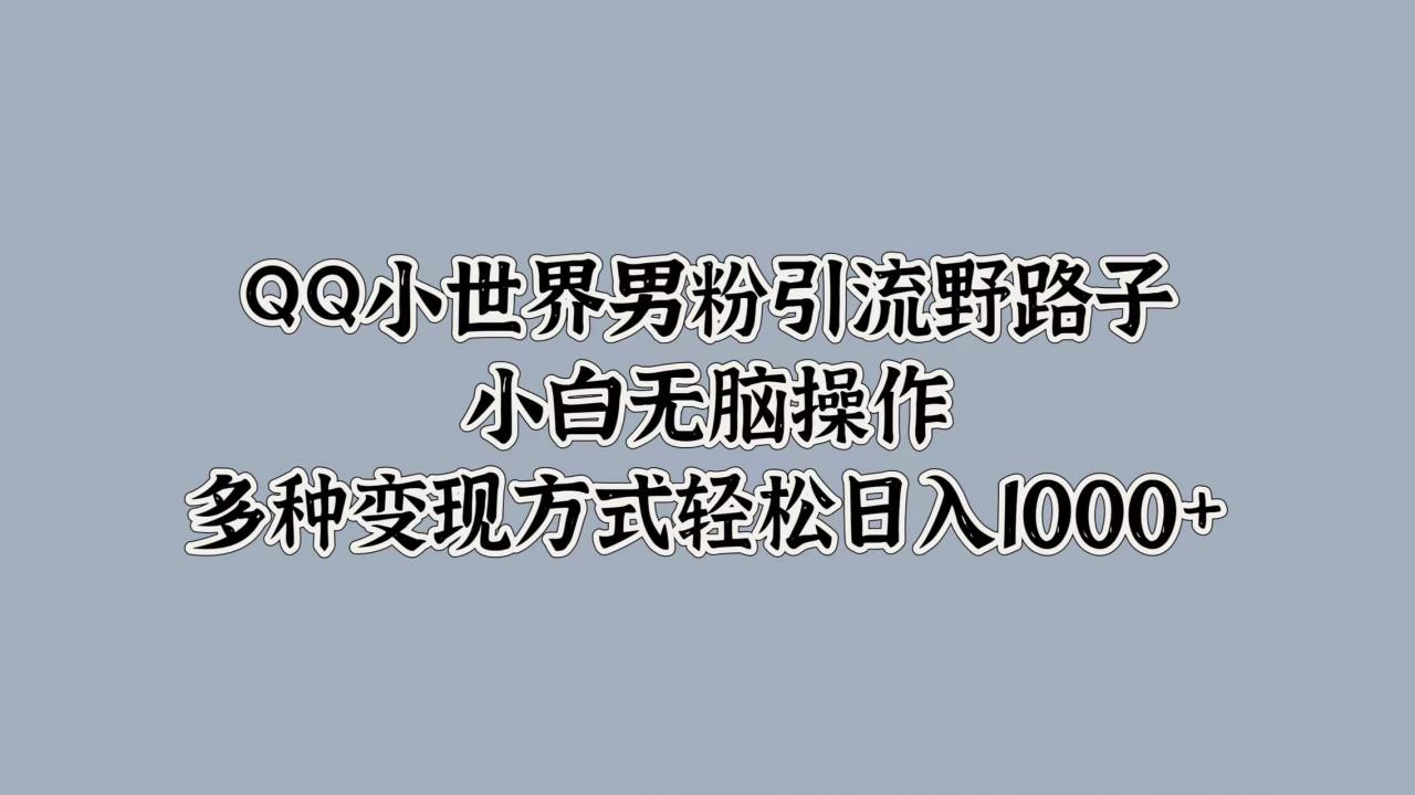 QQ小世界男粉引流野路子，小白无脑操作，多种变现方式