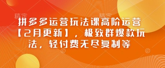 拼多多运营玩法课高阶运营【2月更新】,极致群爆款玩法,轻付费无尽复制等-蜗牛学社
