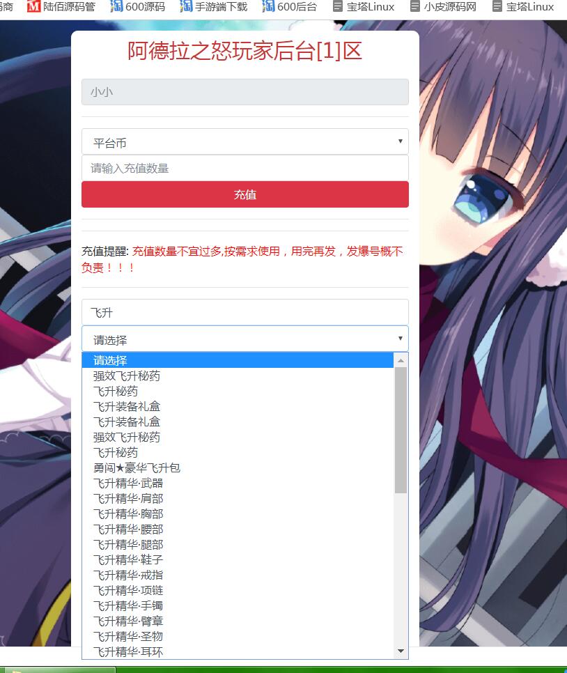 真勇闯阿拉德三觉醒暗黑武士 网页授权后台玩家后台 清空背包邮件 GM后台