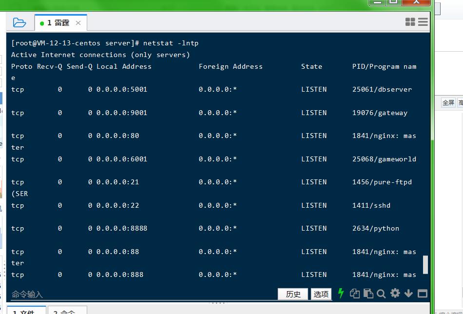 雷霆神武linux手工外网云服务器架设教程