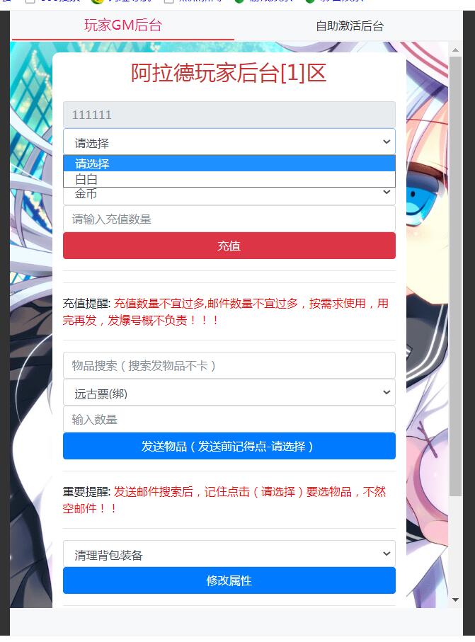 真勇闯阿拉德二合一CDK账号授权后台+清空邮件物品+账号全角色授权+带教程