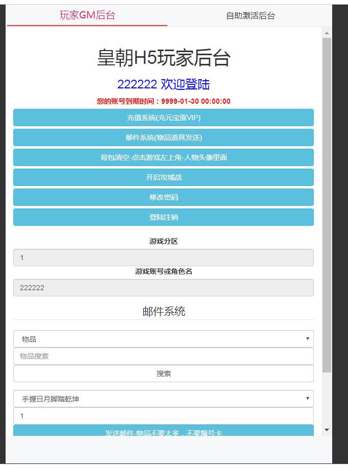 雷霆传奇H5 二合一 cdk 授权后台 清空背包后台 分级授权GM工具后台