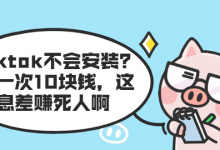 TIKTOK不会安装?装一次10块钱,这信息差赚死人啊-蜗牛学社