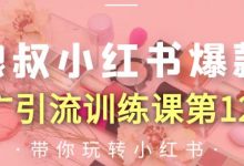 狼叔小红书爆款推广引流训练课第12期,手把手带你玩转小红书-蜗牛学社