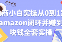 电商小白实操从0到1跑通AMAZON闭环并赚到一块钱全套实操【付费文章】-蜗牛学社