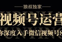 狼叔独家:视频号8.0运营实战课价值1280元-蜗牛学社