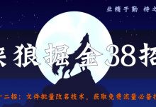 侠狼掘金38招第32招文件批量改名技术,获取免费流量必备技能【视频课程】-蜗牛学社