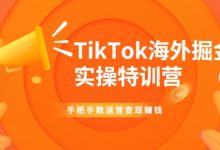 TIKTOK海外掘金实操特训营:手把手教运营变现赚钱-蜗牛学社