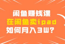 闲鱼赚钱课:在闲鱼卖IPAD,如何月入3W?详细操作教程-蜗牛学社