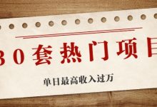 30套热门项目：单日最高收入过万 (网赚项目、朋友圈、涨粉套路、抖音、快手)等-蜗牛学社