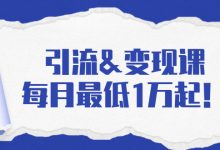引流&变现课:分享一整套流量方法以及各个渠道收入,每月最低1万起!-蜗牛学社