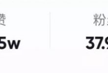 声音+AI技术结合,快速捞金10万+-蜗牛学社