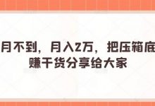 一个月不到,月入2万,把压箱底的躺赚干货分享给大家-蜗牛学社