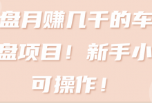 复盘月赚几千的车载U盘项目!新手小白可操作!【视频教程】-蜗牛学社