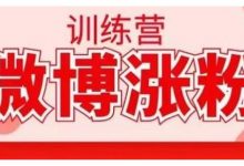 写书哥·微博涨粉训练营,手把手教你写出高转化点赞的涨粉文章【无水印】-蜗牛学社