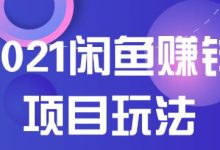 2021闲鱼赚钱项目新玩法,三大体系详细解析让你轻松日赚百元-蜗牛学社