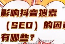 抖音SEO提前布局,大几率就是下一个百度SEO,不要错过-蜗牛学社