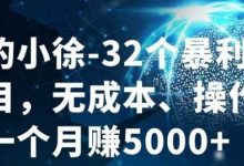 进击的小徐-32个暴利小项目,无成本、操作简单一个月赚5000+-蜗牛学社