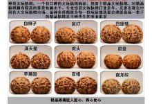 提高收入的办法,眼界决定了你挣钱的上限-蜗牛学社