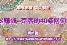 《楚客的40条锦囊-网站篇》第十二条:流量蓝海项目漫画站分销年流水上千万-蜗牛学社
