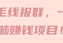 羊毛线报群,一个无脑赚钱项目! 【视频教程】-蜗牛学社