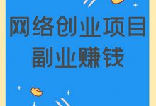 每天投入3小时,轻松年入20万的创业赚钱项目-蜗牛学社
