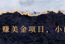 点击广告赚美金项目,小白可操作【视频课程】-蜗牛学社