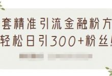 1套精准引流金融粉方法,轻松日引300+粉丝【视频课程】-蜗牛学社