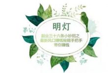 明灯副业三十六条小妙招之最新风口赚钱秘籍手把手带你赚钱-蜗牛学社