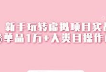 新手玩转虚拟项目实战,揭秘单品1万+大类目操作模式【视频课程】-蜗牛学社