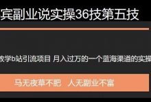 嘉宾副业说实操36技第五技:保姆级教学b站引流项目,月入过万的一个蓝海渠道的实操教学-蜗牛学社