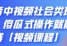 抖音中视频社会类玩法,傻瓜式操作就能赚钱【视频课程】-蜗牛学社
