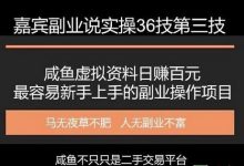 嘉宾副业说实操36技第三技:咸鱼虚拟资料日赚百元,最容易新手上手的副业操作项目-蜗牛学社