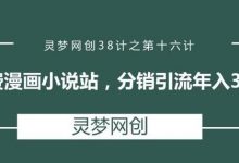 灵梦网创38计之第十六计:免费漫画小说站,分销引流年入30万-蜗牛学社