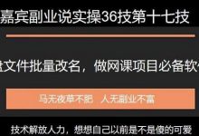 嘉宾副业说实操36技第十七技:百度网盘本地文件重命名免费软件,做网课项目必备软件-蜗牛学社