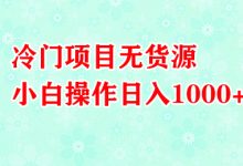 冷门项目有哪些(无货源项目有哪些)-蜗牛学社