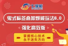 鬼脚七·鬼式标签叠加玩法6.0-鬼哥标签玩法强化高效版,价值5800元-蜗牛学社