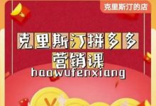 克里斯汀拼多多运营课,适合小白初涉平台,低成本入门-蜗牛学社