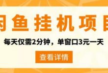 闲鱼挂机单号3元/天,每天仅需2分钟,可无限放大,稳定长久挂机项目!-蜗牛学社