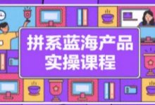 拼系冷门蓝海产品实操课程,从注册店铺到选品上架到流量维护环环相扣-蜗牛学社